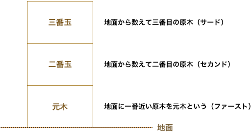 元木･二番玉･三番玉とは