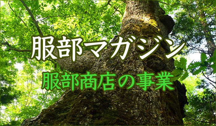 創業以来「無垢の木」にこだわり続けている服部商店の事業紹介