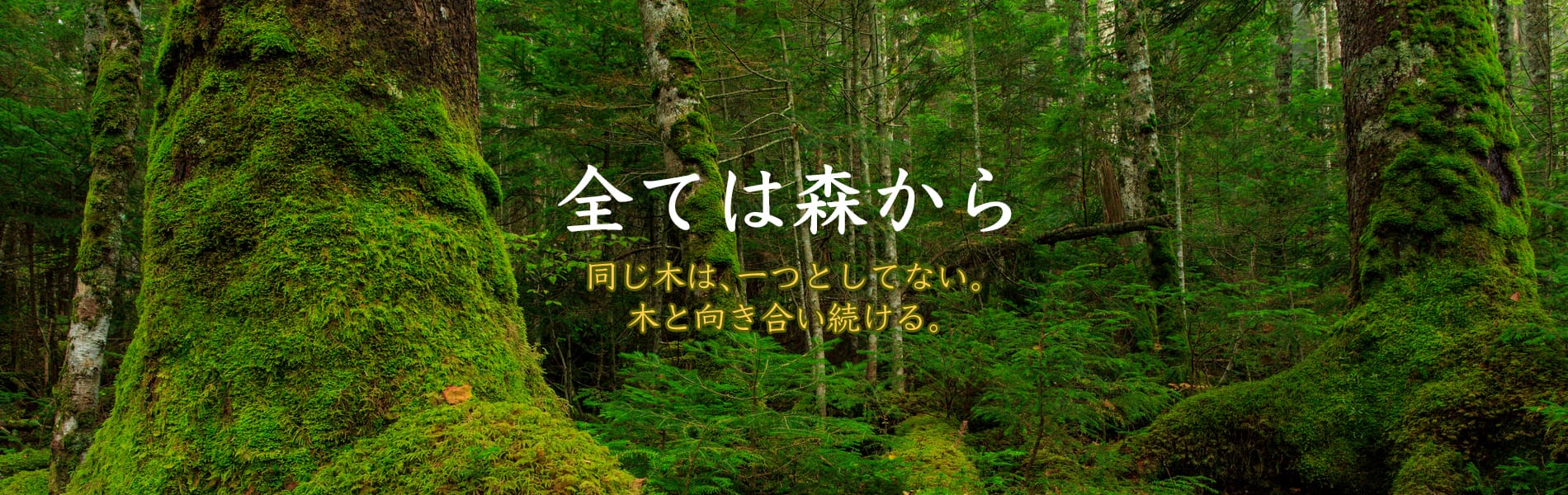 無垢材のことなら服部商店