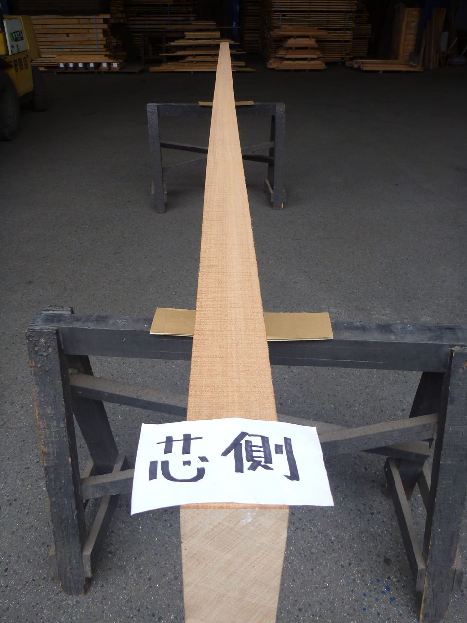 アガチス 一枚板