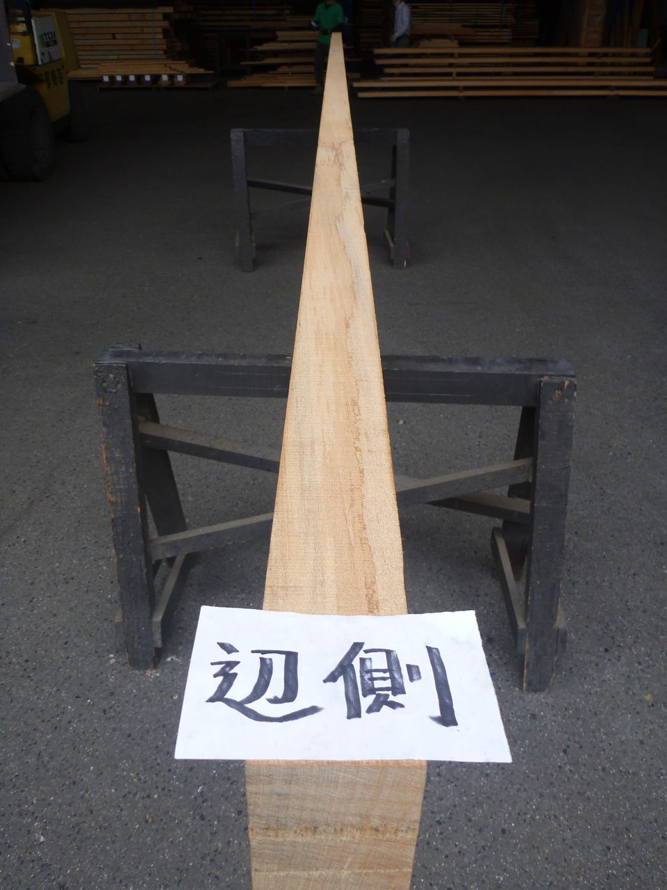 アガチス 一枚板