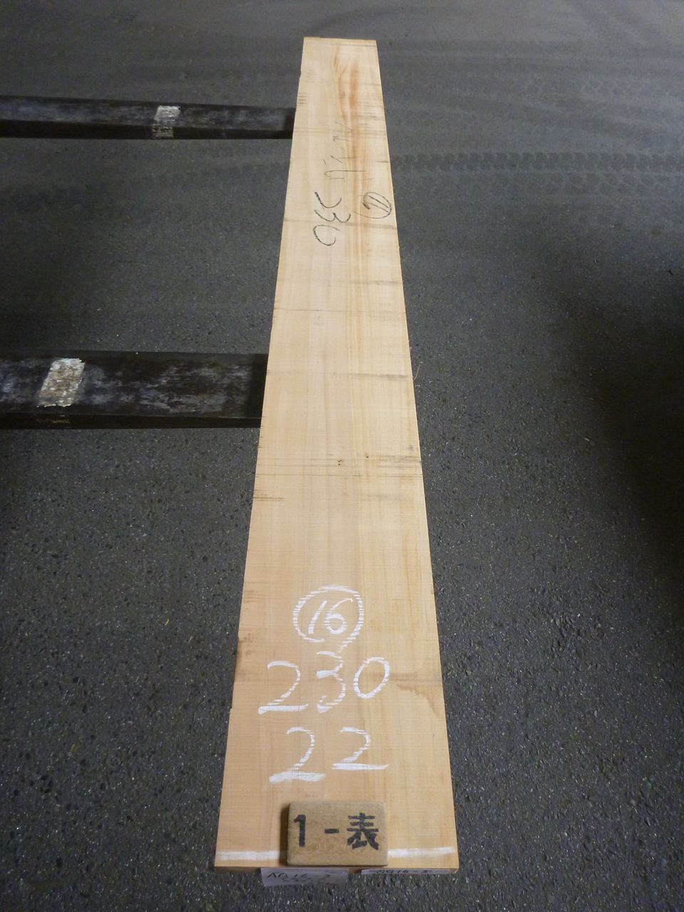 アガチス 16ミリ