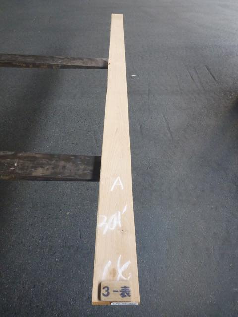 アルダー 4/4