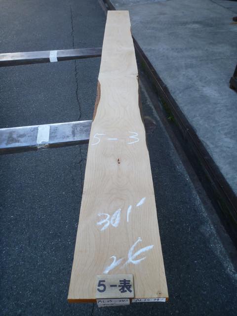 アルダー 4/4