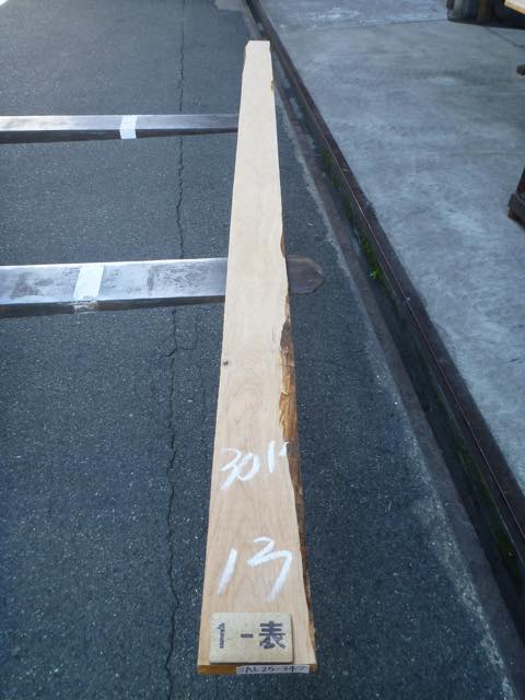 アルダー 4/4