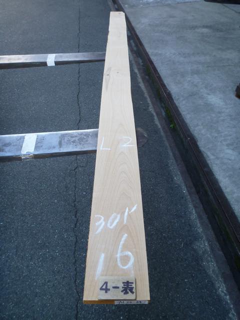 アルダー 4/4