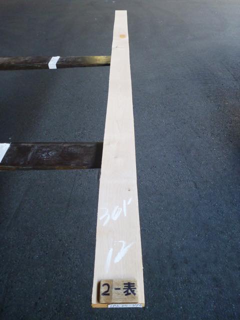 アルダー 4/4