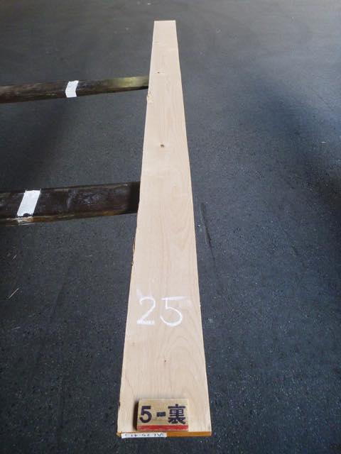 アルダー 4/4