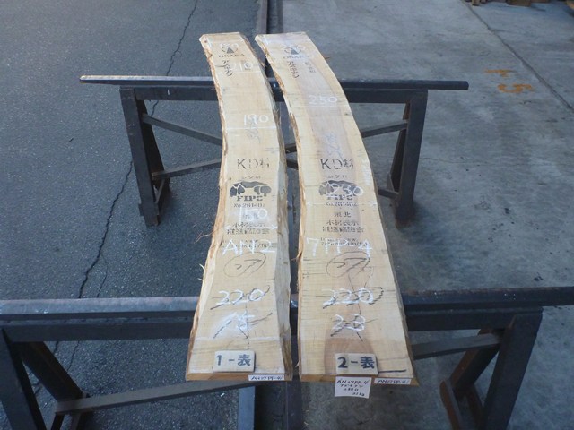 アズキナシ 27ミリ 板目板