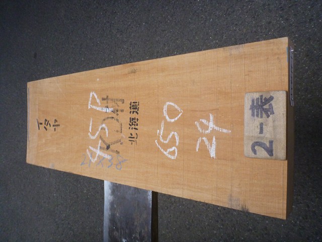 イタヤカエデ 45ミリ