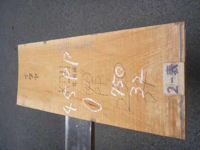 イタヤカエデ 45ミリ