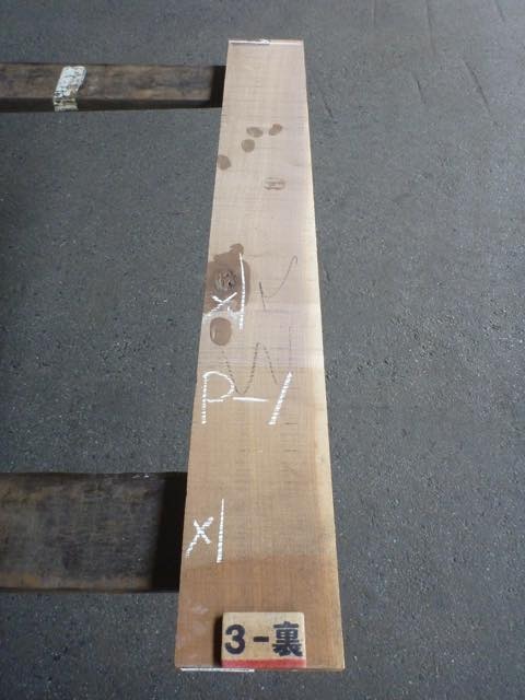 ウォールナット 21ミリ