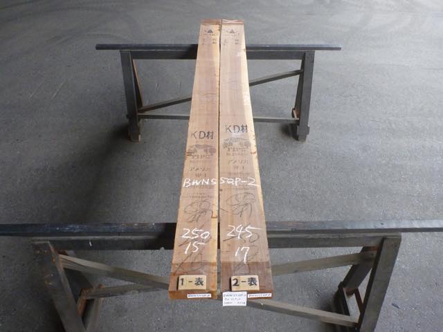 ウォールナット 55ミリ