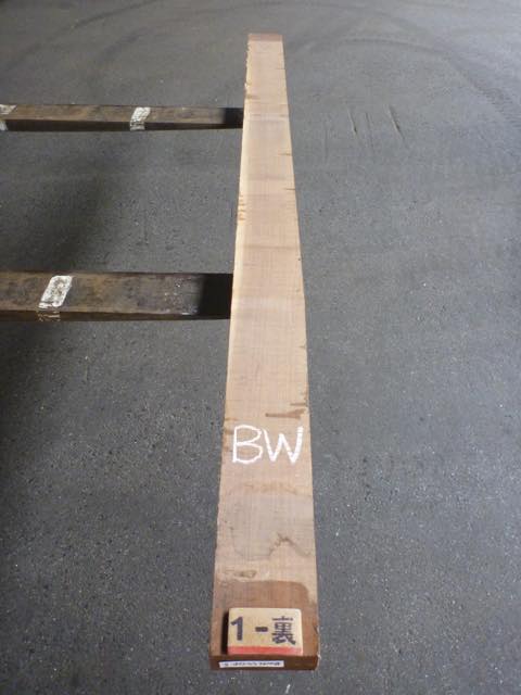 ウォールナット 55ミリ