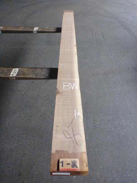 ウォールナット 55ミリ