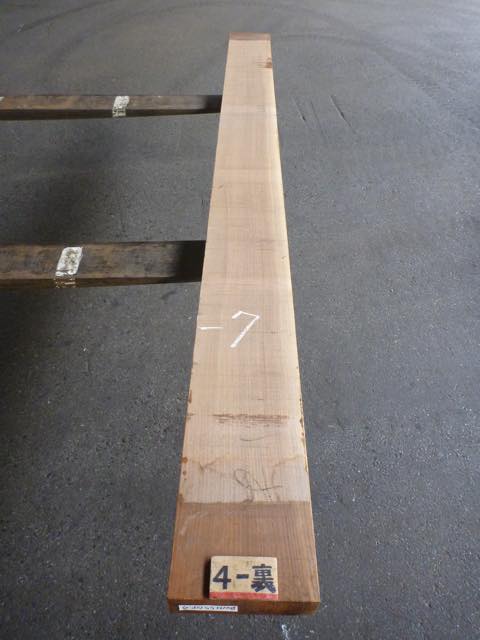 ウォールナット 55ミリ