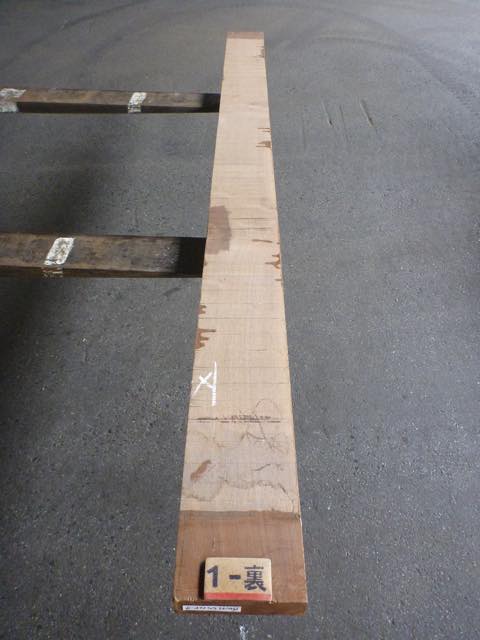 ウォールナット 55ミリ