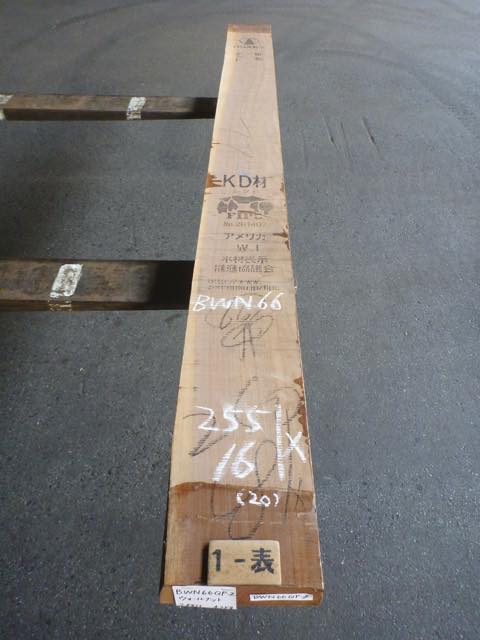 ウォールナット 66ミリ