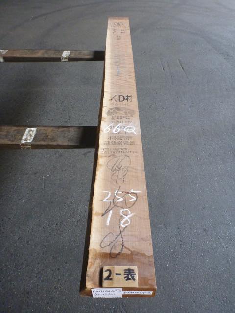 ウォールナット 66ミリ