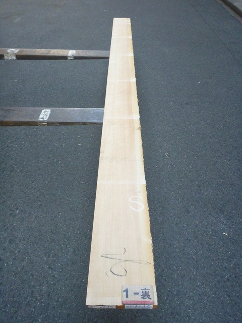 スプルース 24ミリ 平板