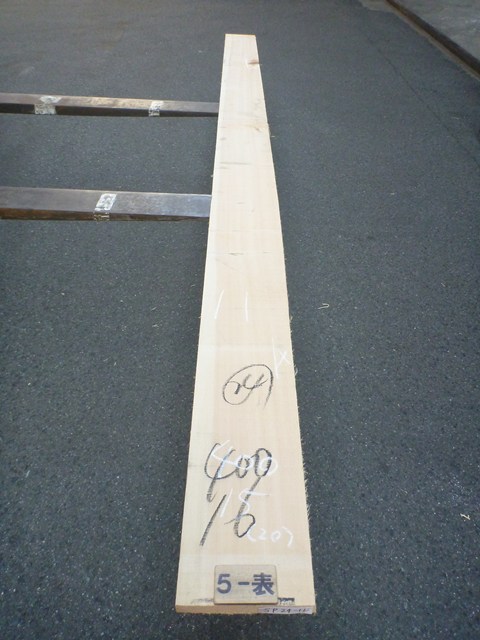 スプルース 24ミリ 平板