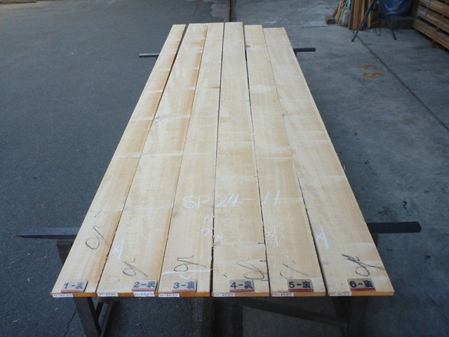 スプルース 24ミリ 平板