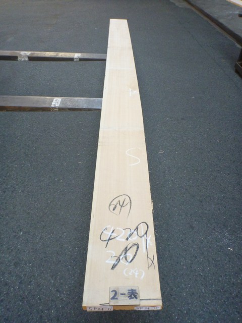 スプルース 24ミリ 平板