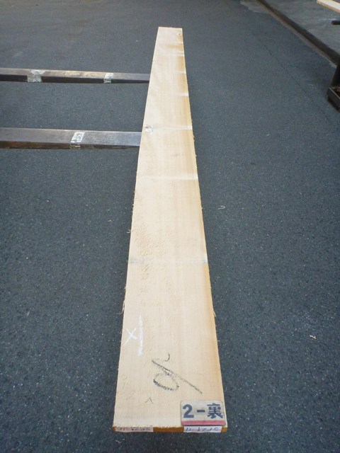 スプルース 24ミリ 平板