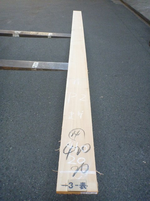 スプルース 24ミリ 平板