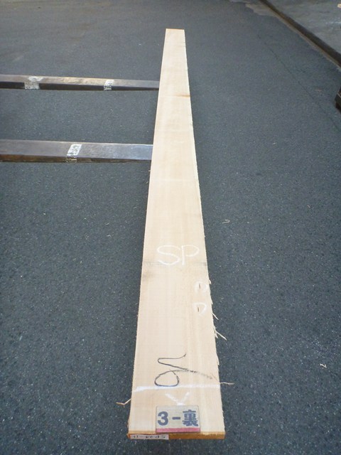 スプルース 24ミリ 平板