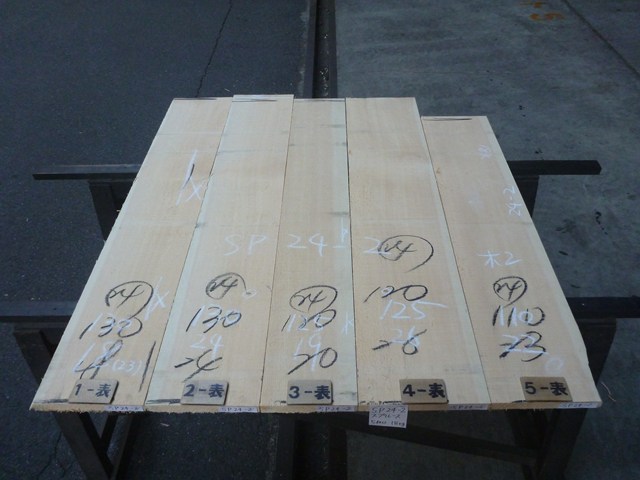 スプルース 24ミリ 平板