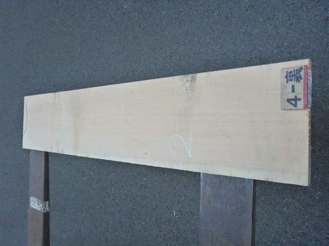 スプルース 24ミリ 平板