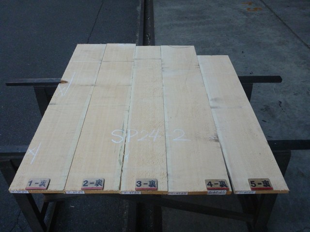 スプルース 24ミリ 平板