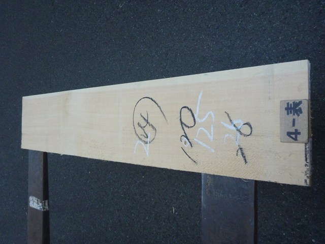 スプルース 24ミリ 平板