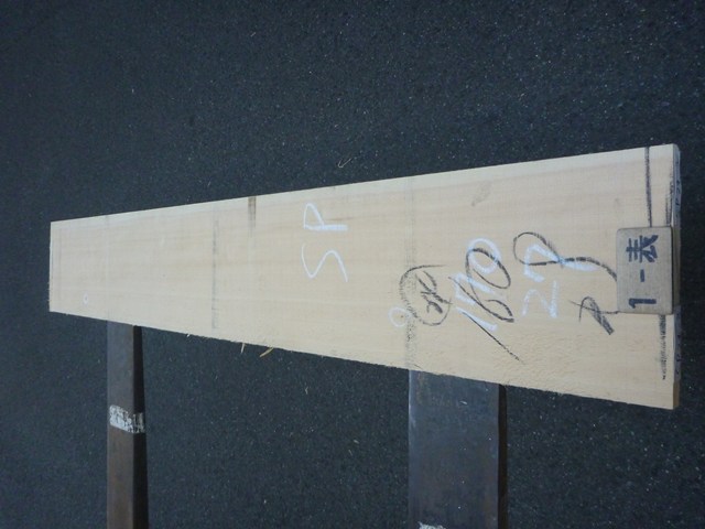 スプルース 24ミリ 平板