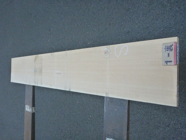 スプルース 24ミリ 平板