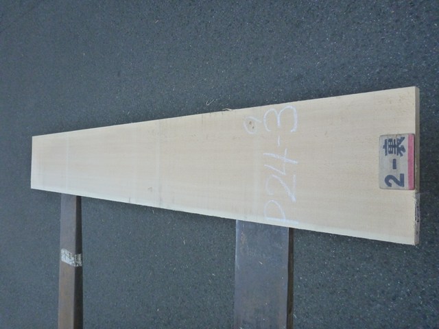 スプルース 24ミリ 平板