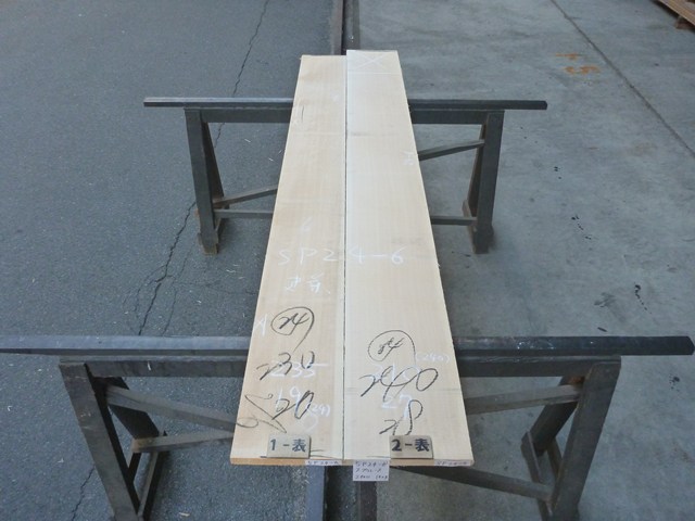 スプルース 24ミリ 平板