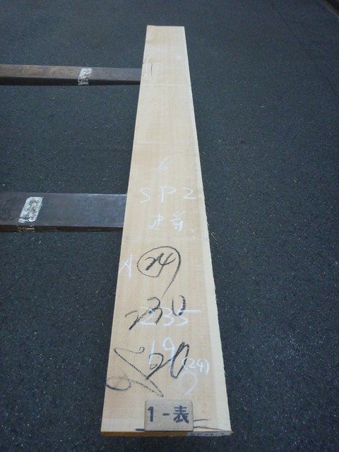 スプルース 24ミリ 平板