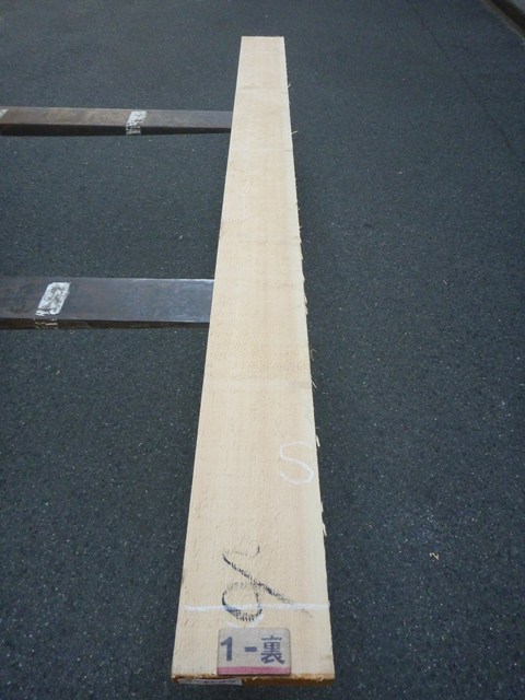 スプルース 24ミリ 平板