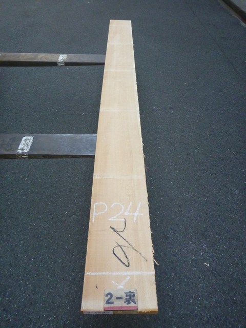 スプルース 24ミリ 平板