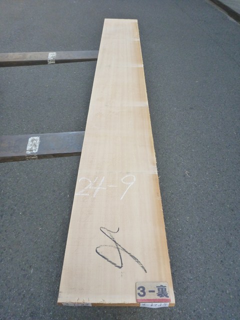 スプルース 24ミリ 平板