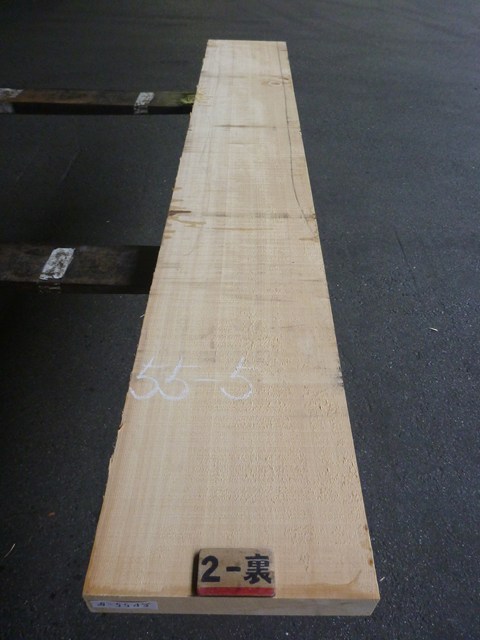 スプルース 55ミリ 平板